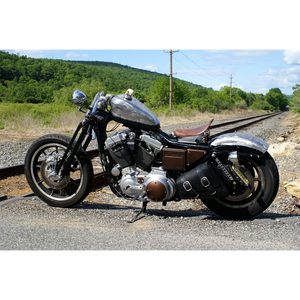 Sportster online tank riser